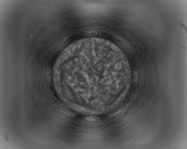 X0000091460753200709131734