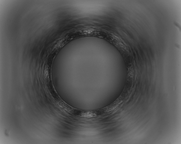 X0000091460754200709131734