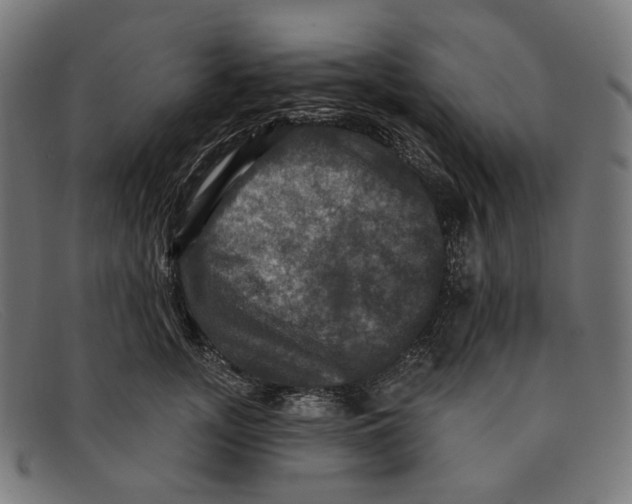 X0000091460755200709131734