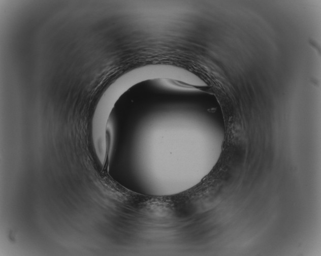 X0000091460756200709131734