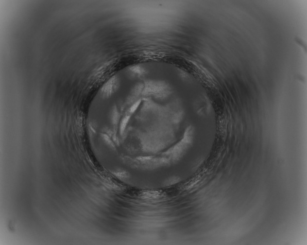X0000091460757200709131734