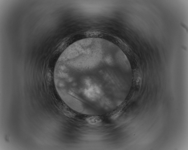 X0000091460761200709131734