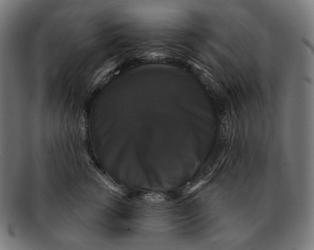 X0000091460762200709131734