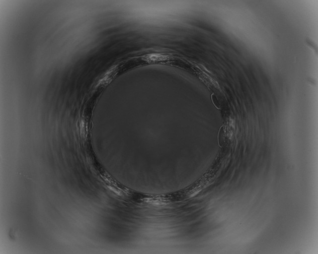 X0000091460763200709131734