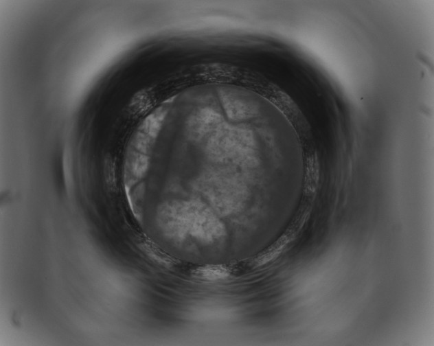 X0000091460765200709131734
