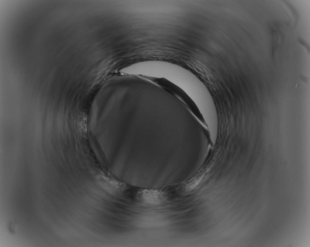 X0000091460766200709131734
