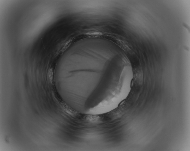 X0000091460767200709131734