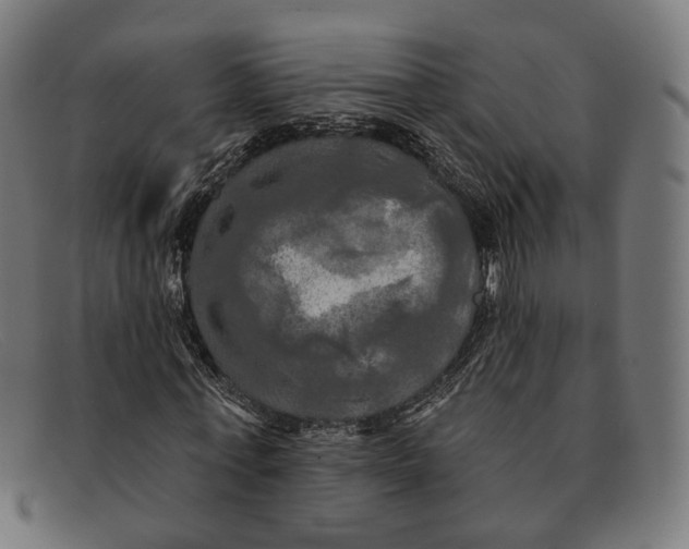X0000091460771200709131733