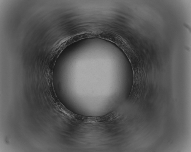 X0000091460773200709131733