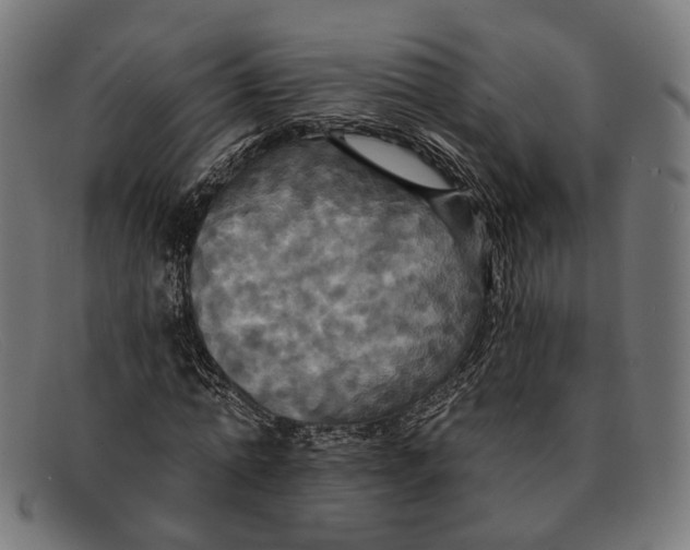 X0000091460774200709131733