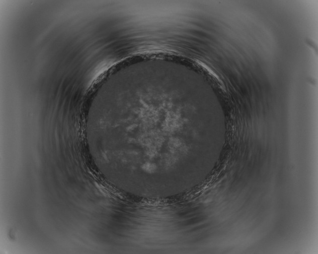 X0000091460775200709131733