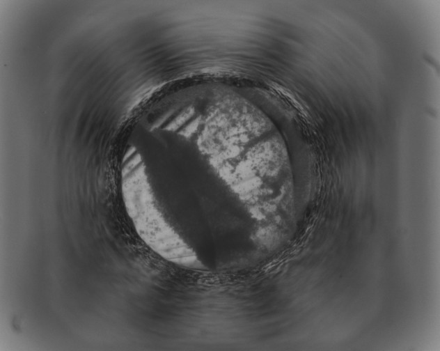 X0000091460776200709131733