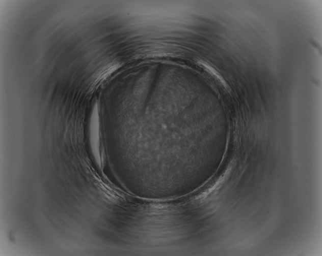 X0000091460777200709131733