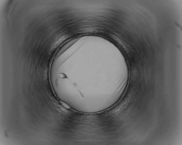 X0000091460778200709131733