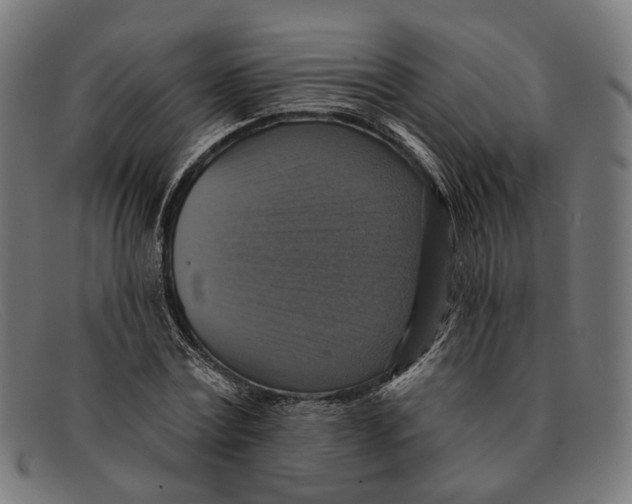 X0000091460779200709131733
