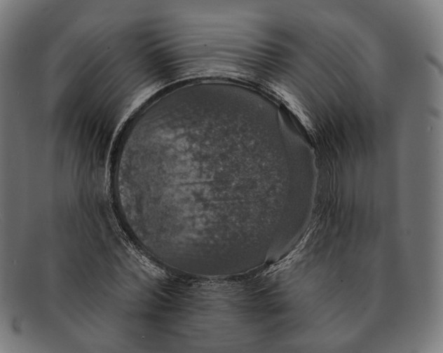 X0000091460780200709131733
