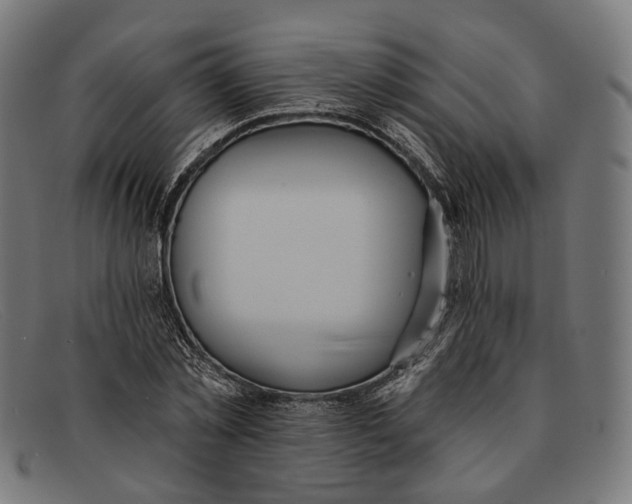 X0000091460781200709131733