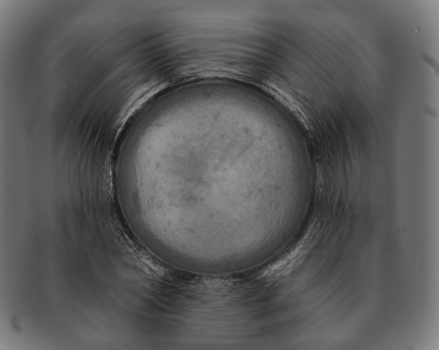 X0000091460782200709131733