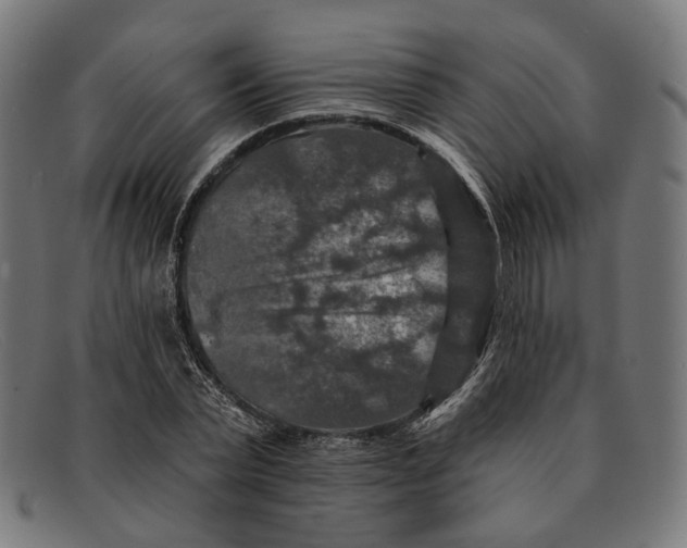 X0000091460783200709131733
