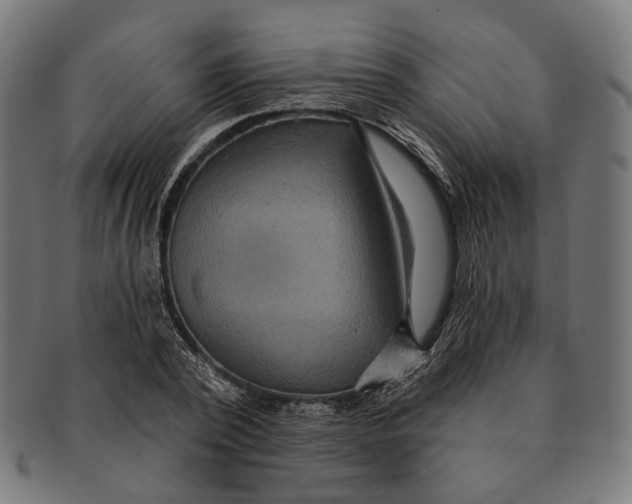 X0000091460784200709131733