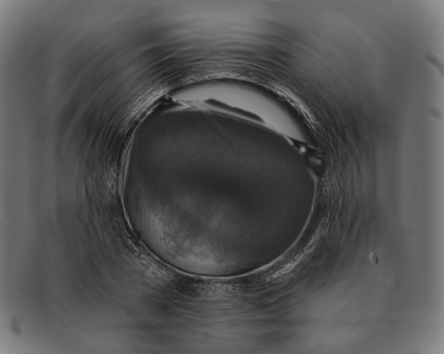 X0000091460785200709131733