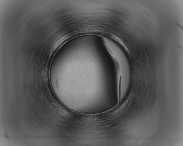 X0000091460786200709131733