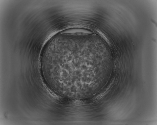 X0000091460787200709131733