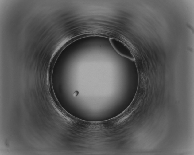 X0000091460788200709131733