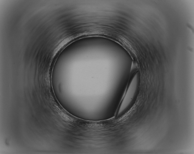 X0000091460789200709131733