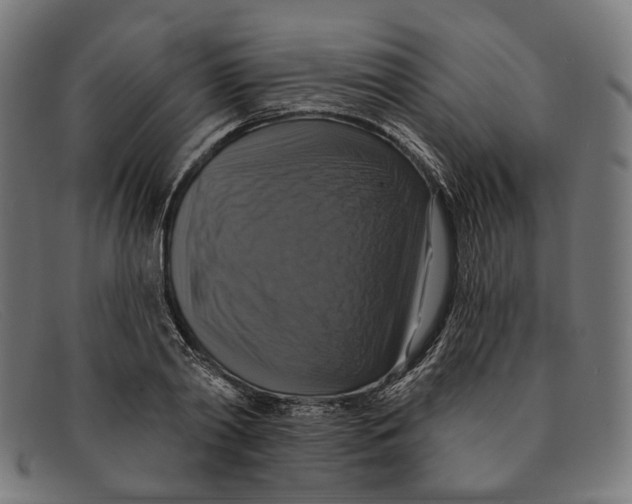 X0000091460790200709131733