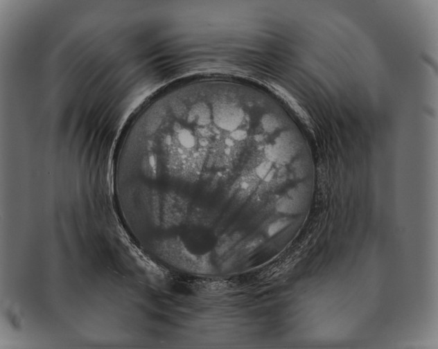 X0000091460791200709131733