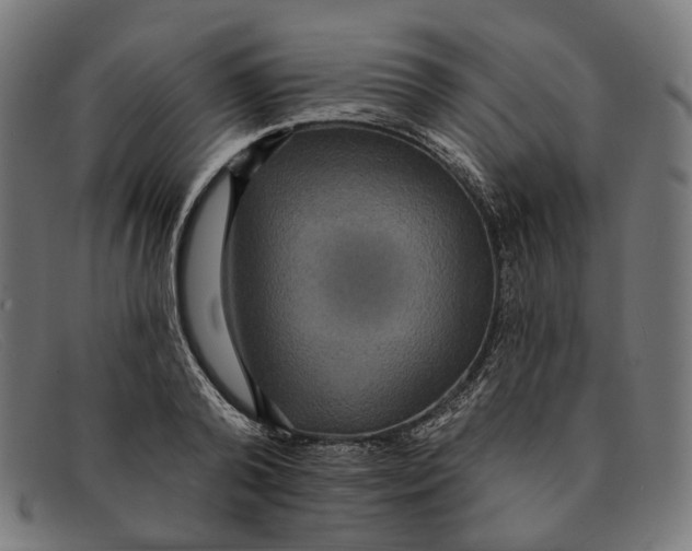 X0000091460792200709131733