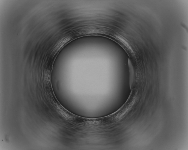X0000091460793200709131733
