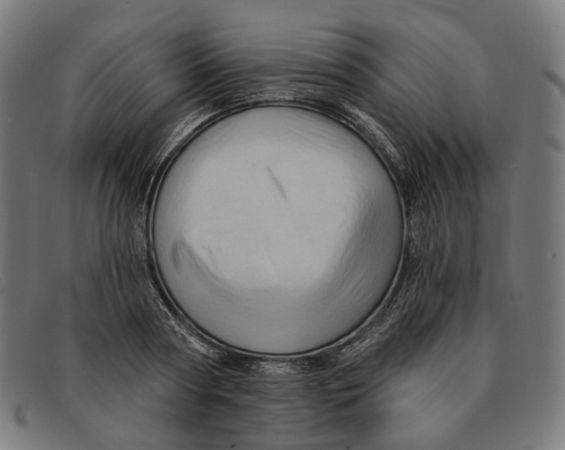 X0000091460794200709131733