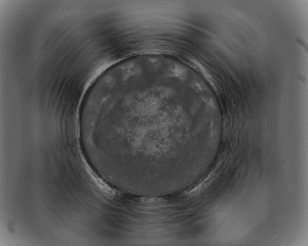 X0000091460795200709131733