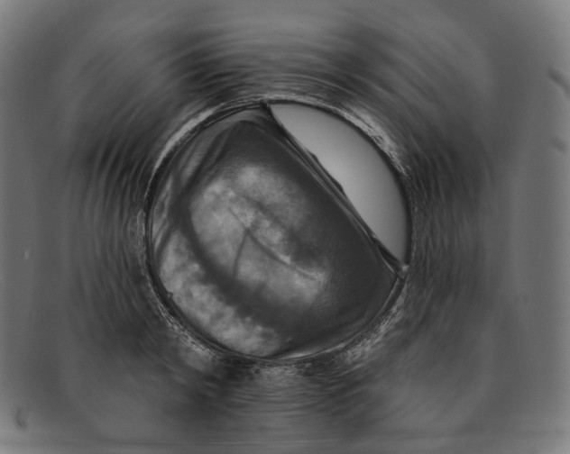 X0000091460798200709131733
