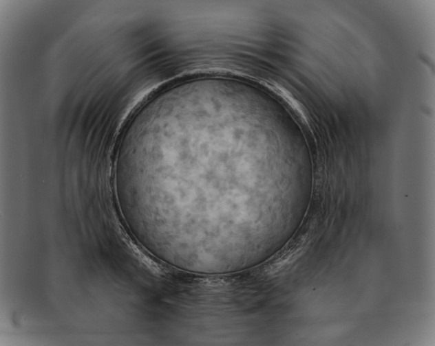 X0000091460799200709131733