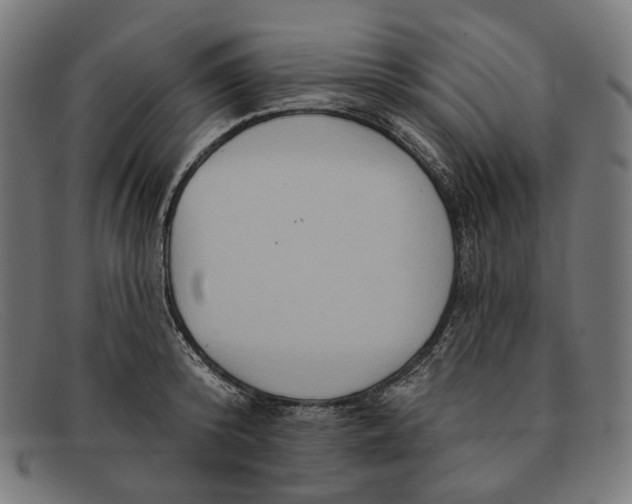 X0000091460800200709131733