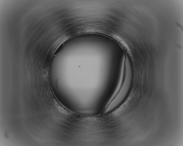 X0000091460801200709131733