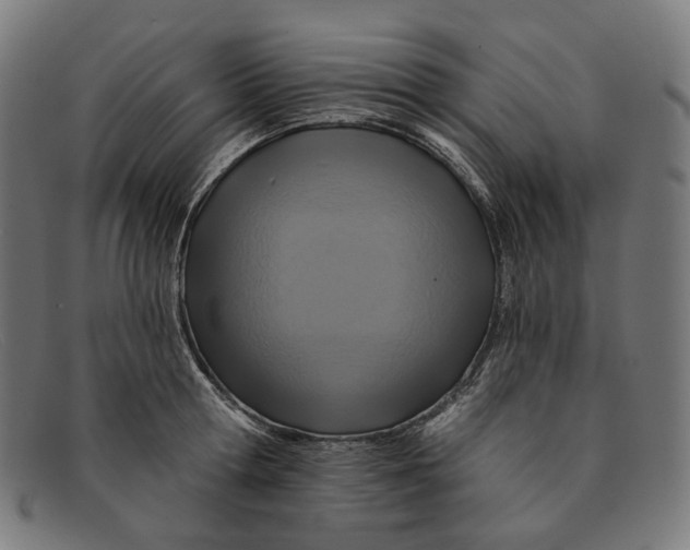 X0000091460802200709131733