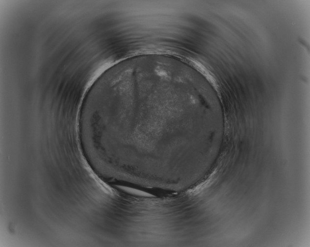 X0000091460803200709131733