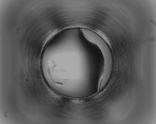 X0000091460805200709131733