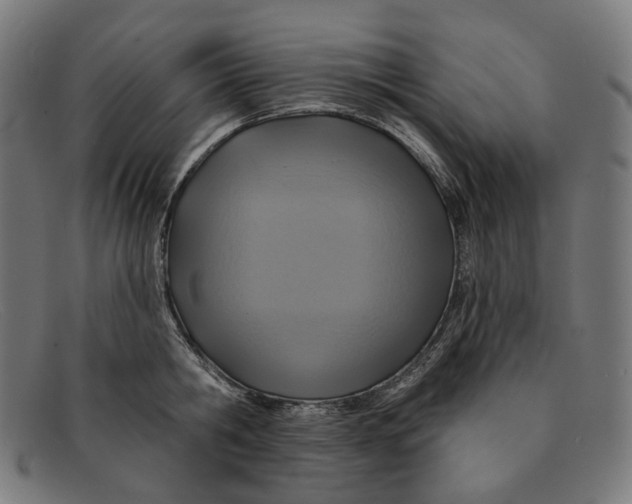 X0000091460806200709131733