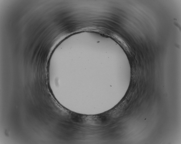 X0000091460808200709131733