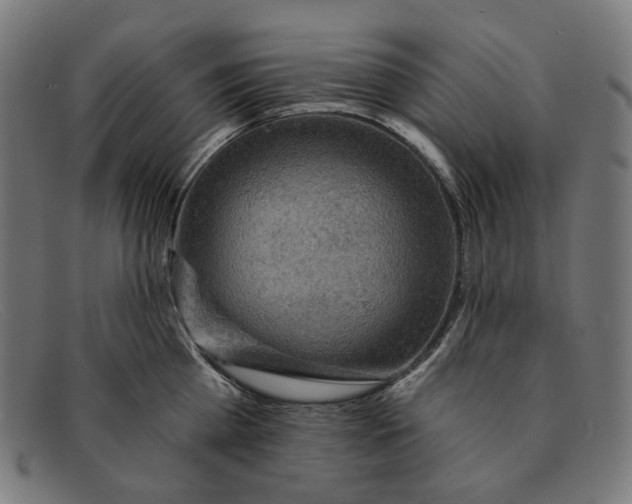 X0000091460809200709131733