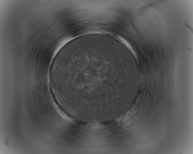 X0000091460811200709131732