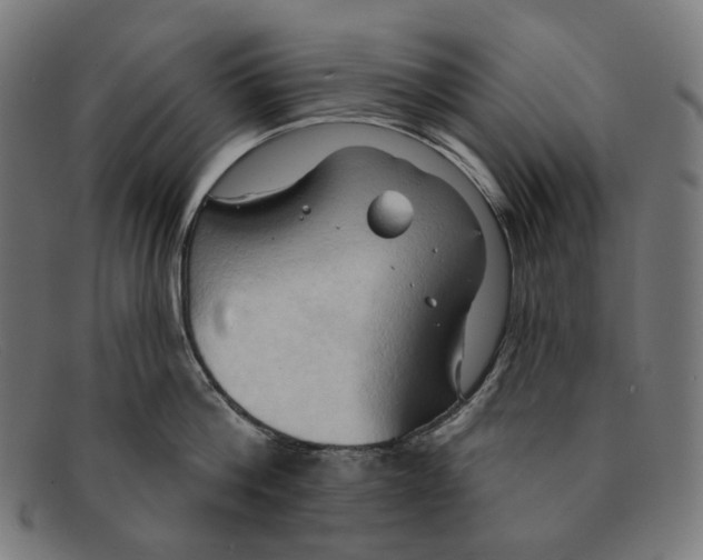 X0000091460812200709131732