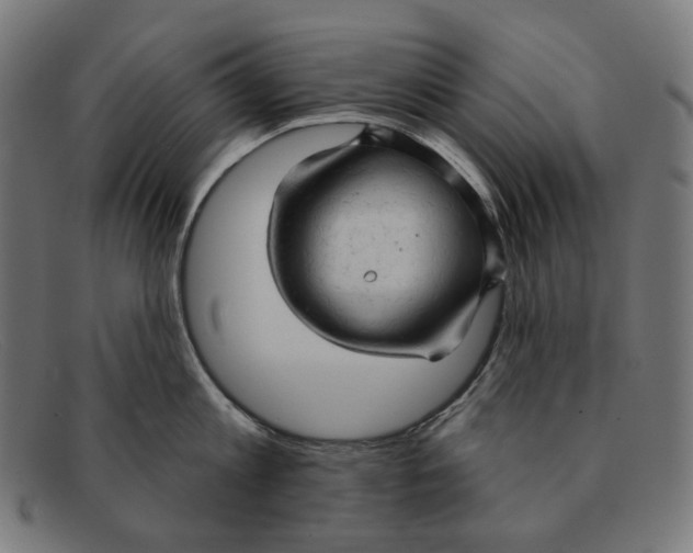 X0000091460813200709131732