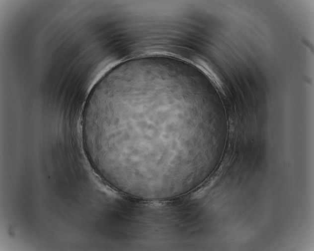 X0000091460814200709131732