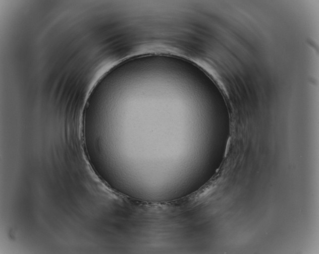 X0000091460815200709131732